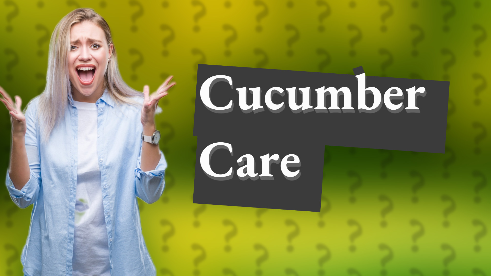 Cucumber Care