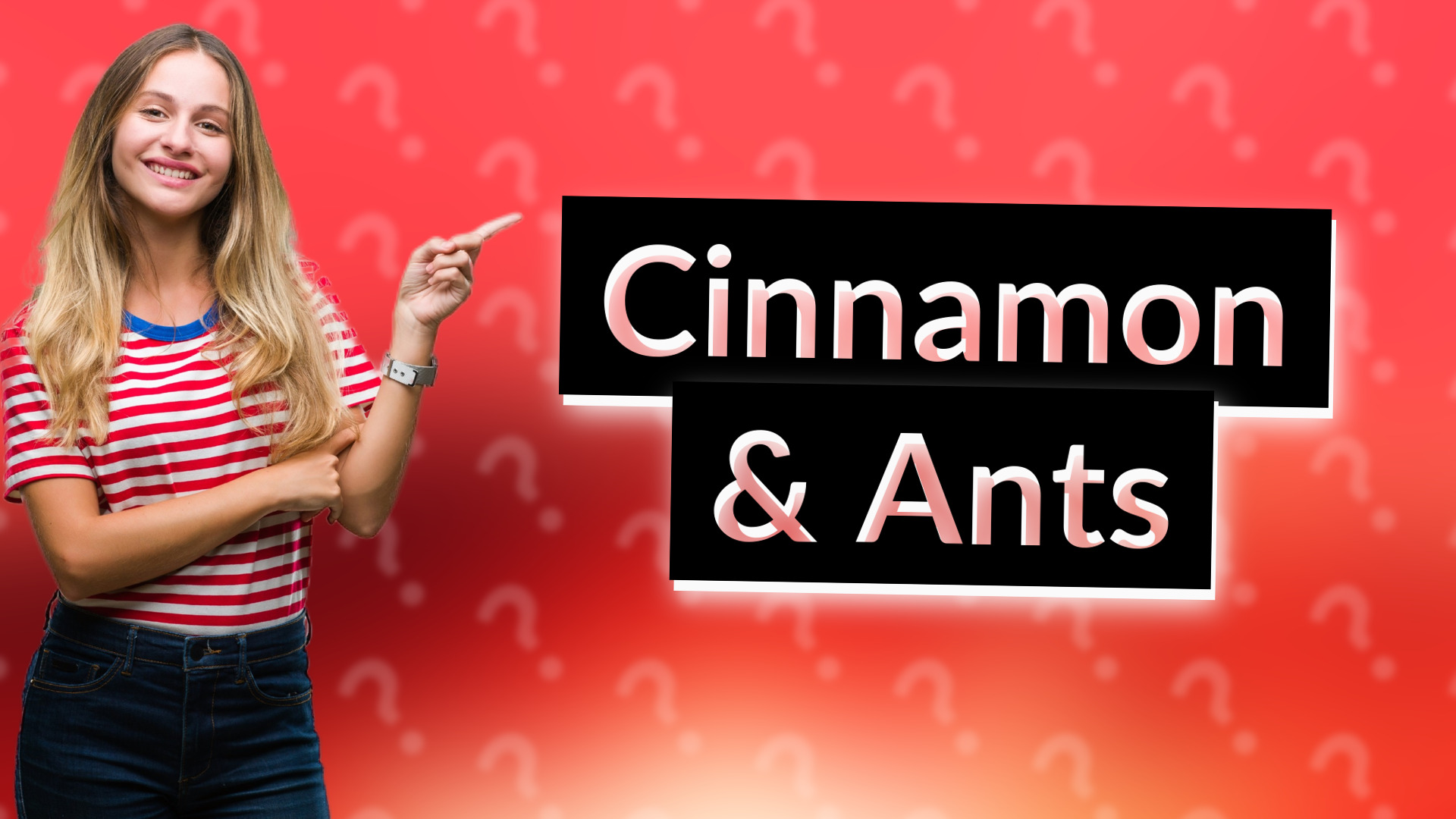 Cinnamon & Ants