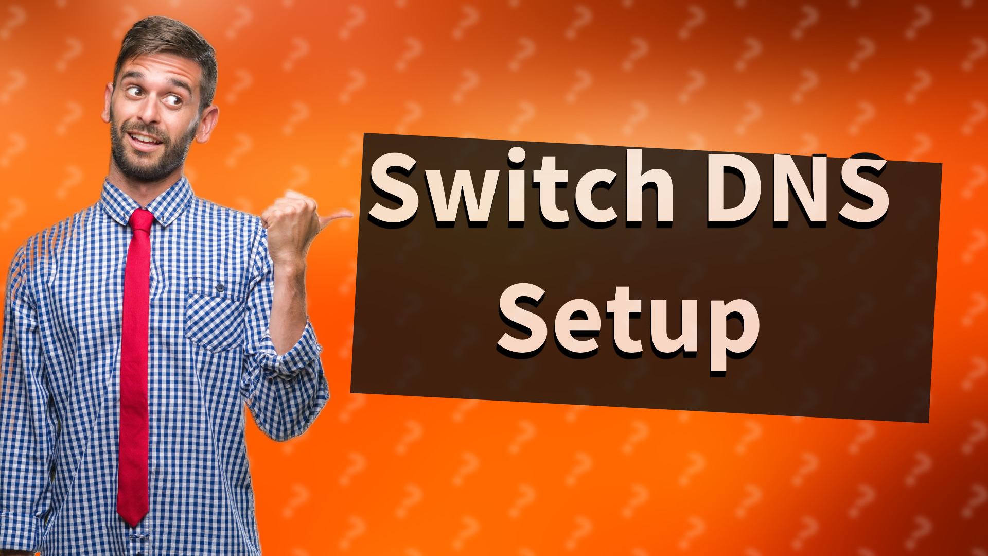 Switch DNS Setup