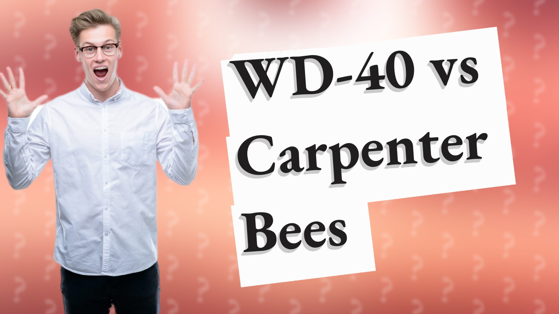 WD-40 vs Carpenter Bees