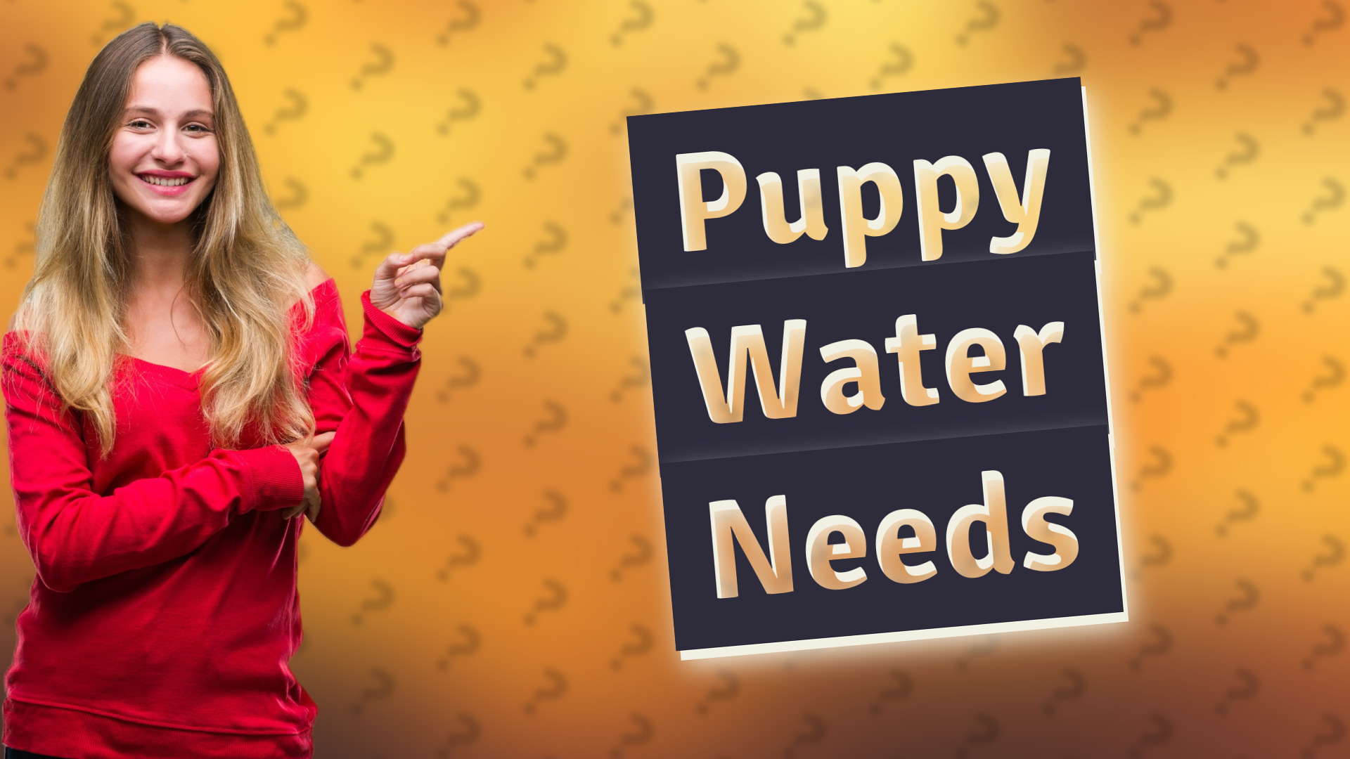 Puppy Water Needs