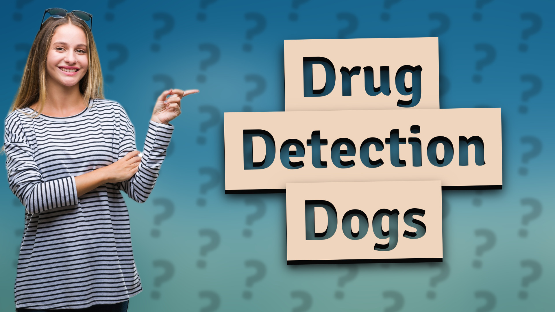 Drug Detection Dogs