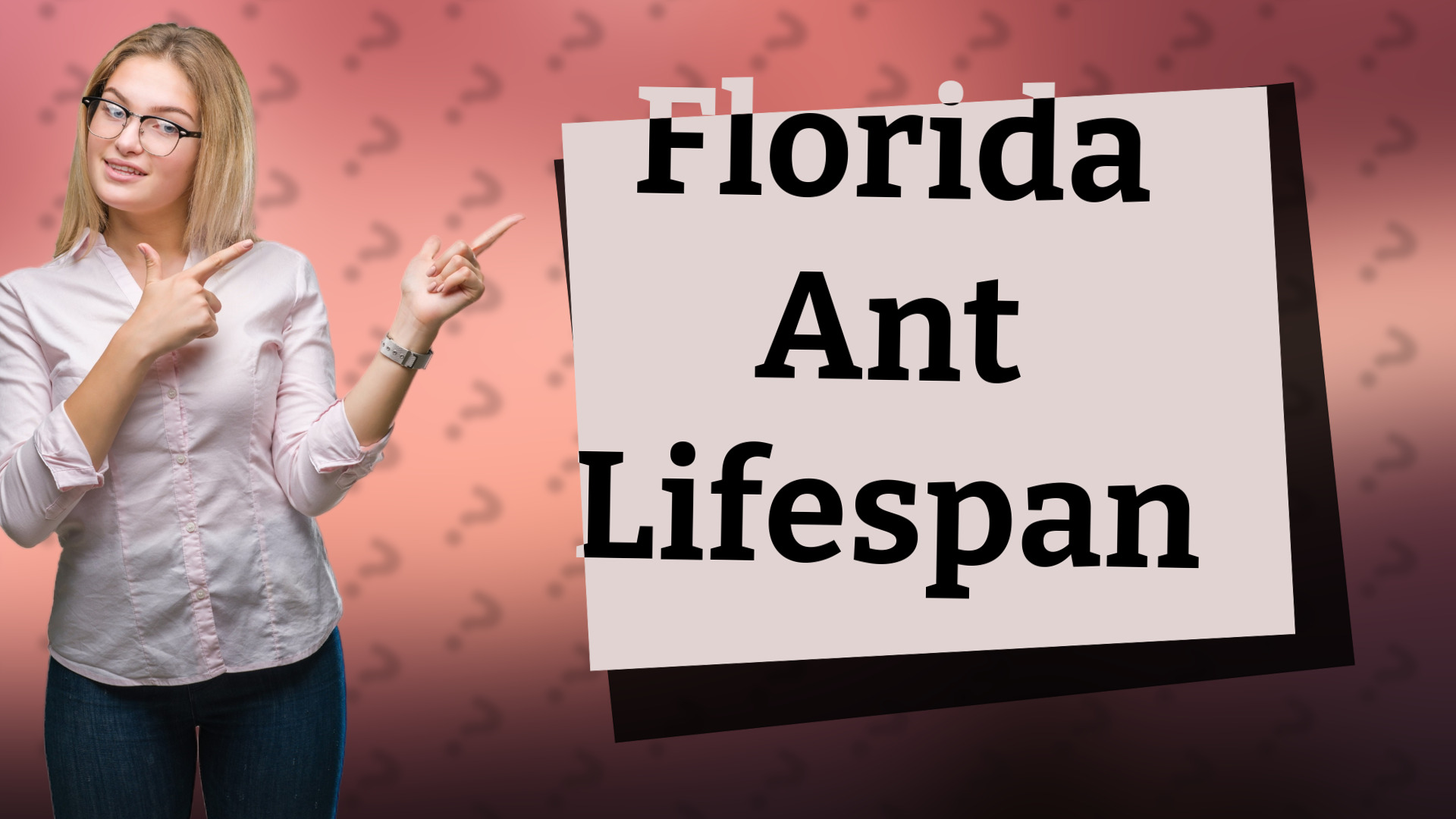 Florida Ant Lifespan
