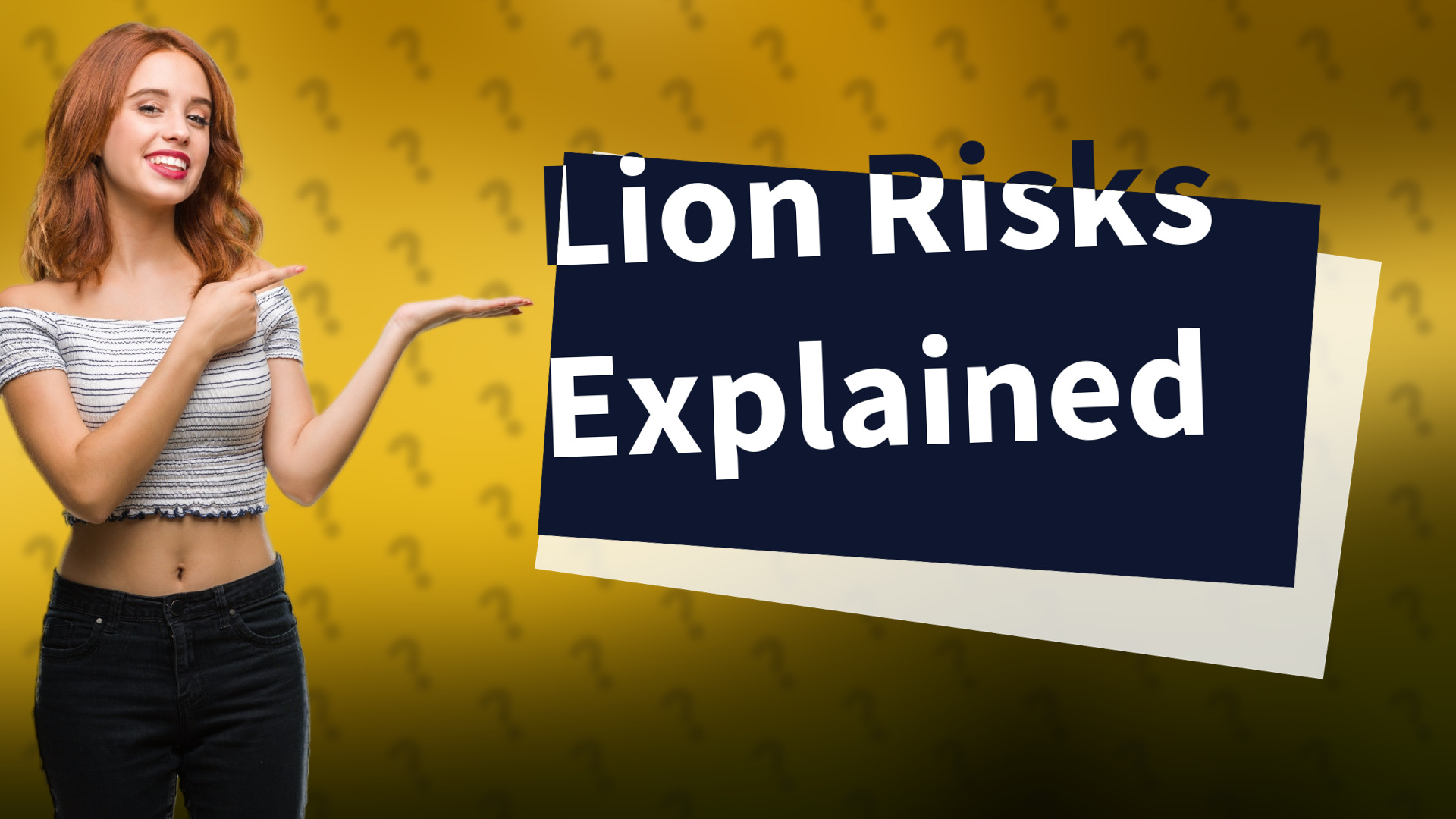Lion Risks Explained