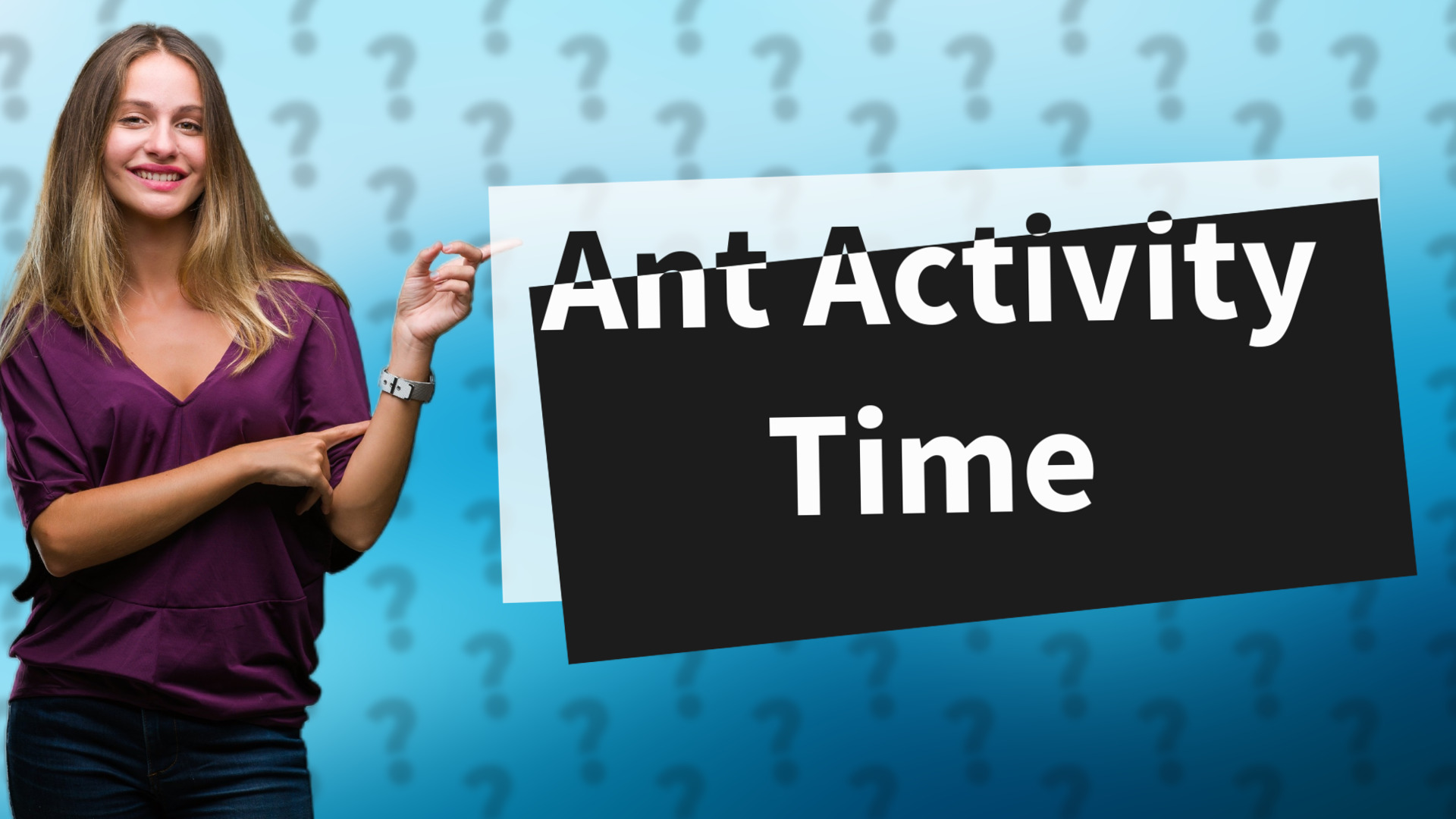 Ant Activity Time