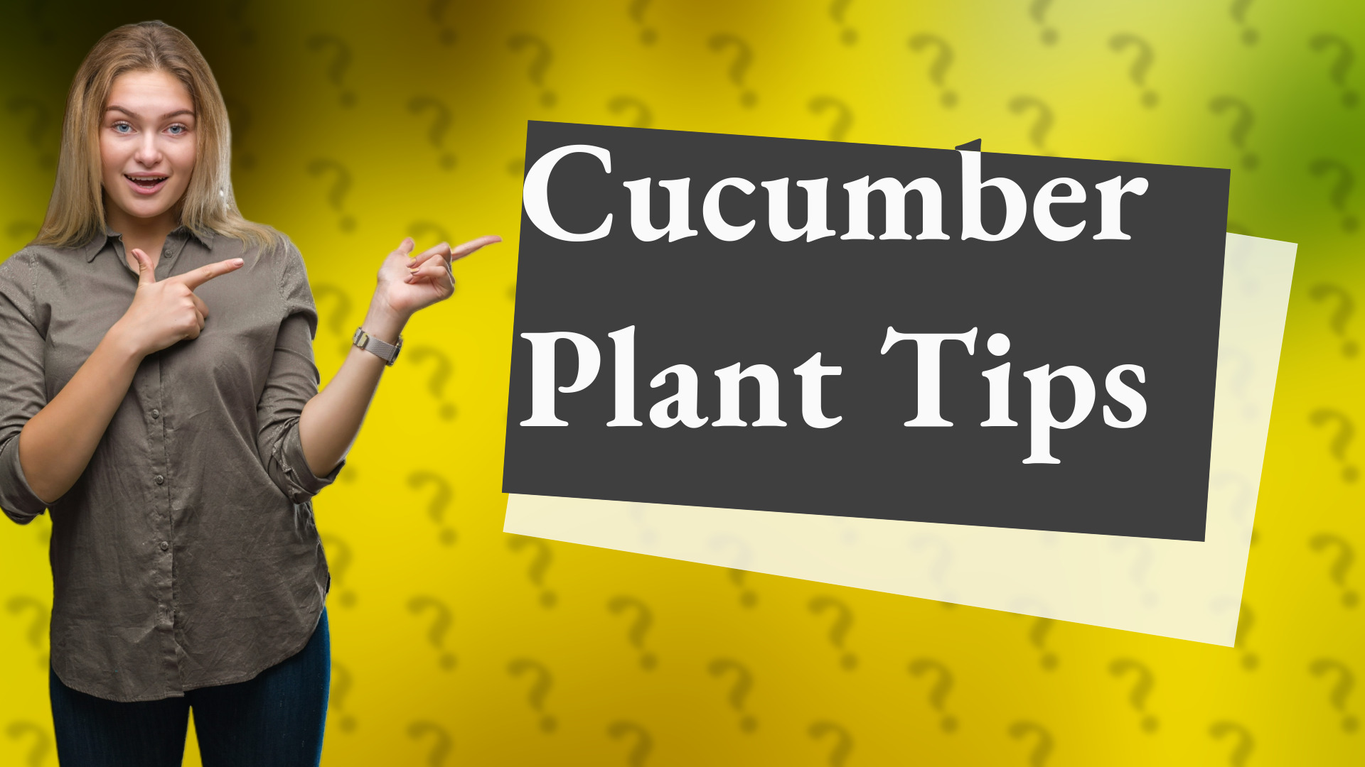 Cucumber Plant Tips