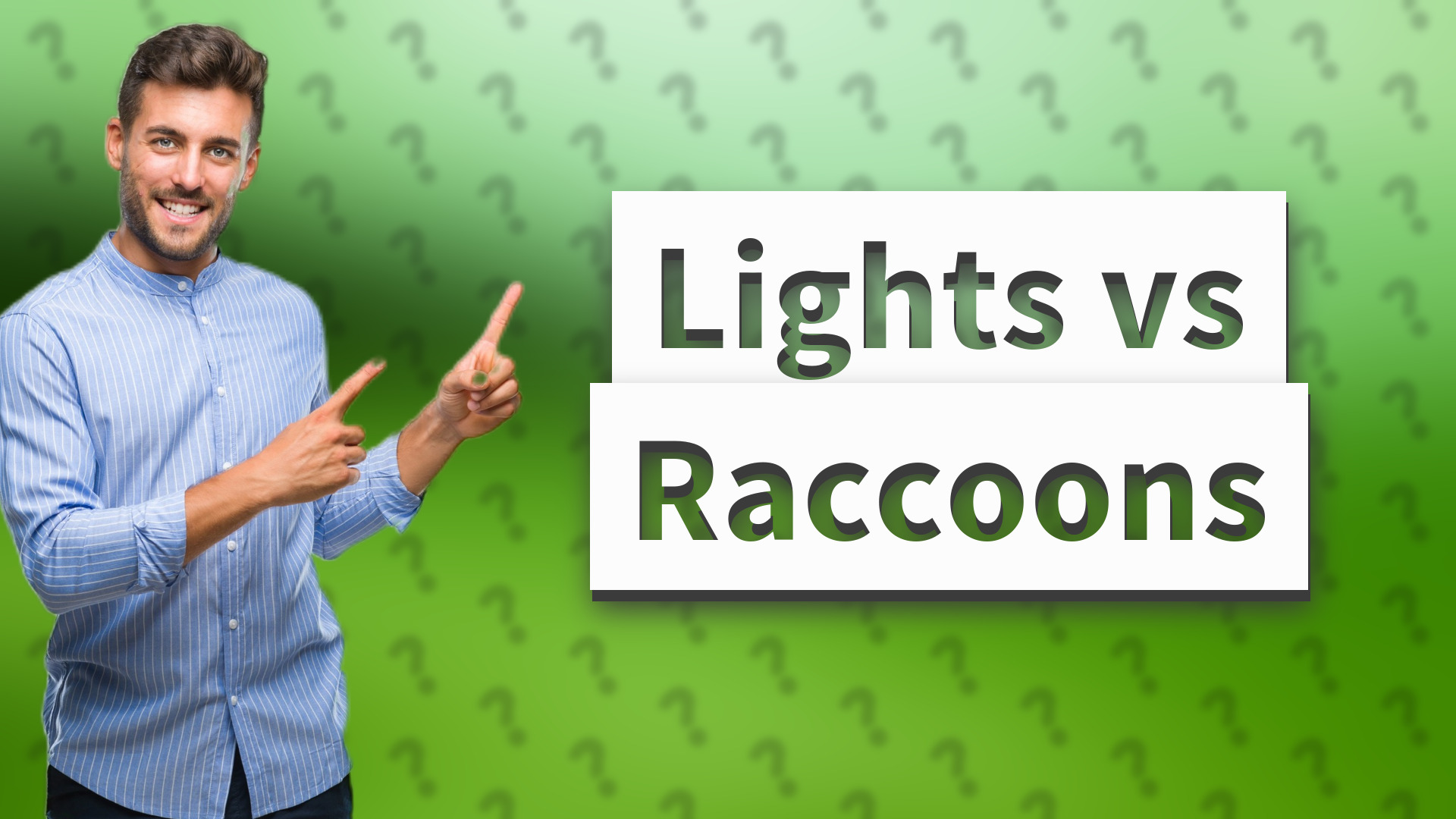 Lights vs Raccoons
