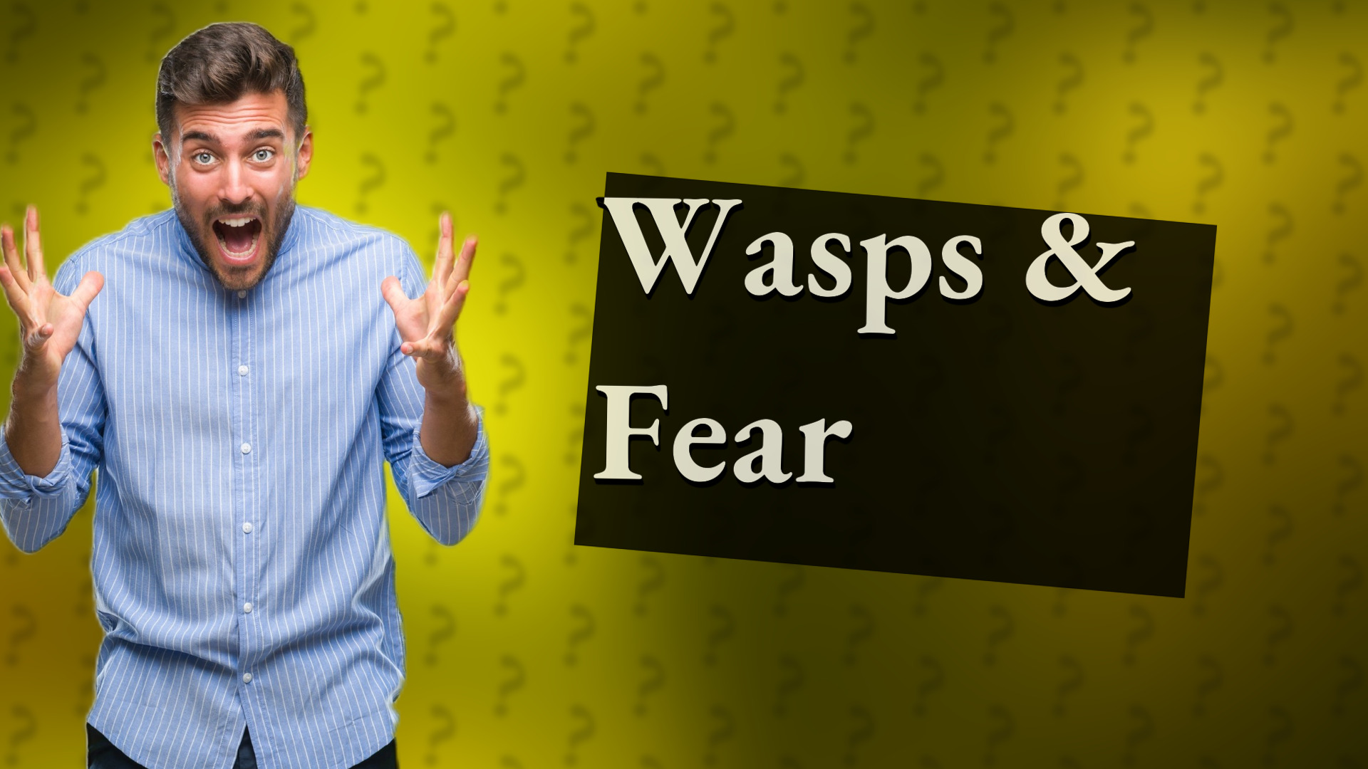 Wasps & Fear