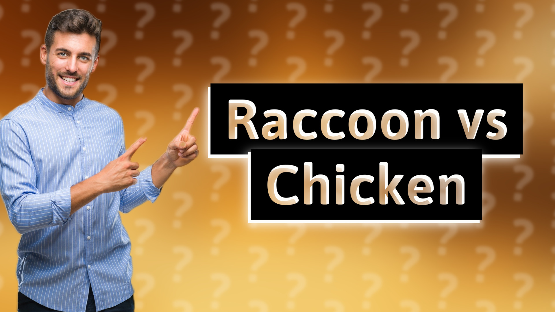 Raccoon vs Chicken