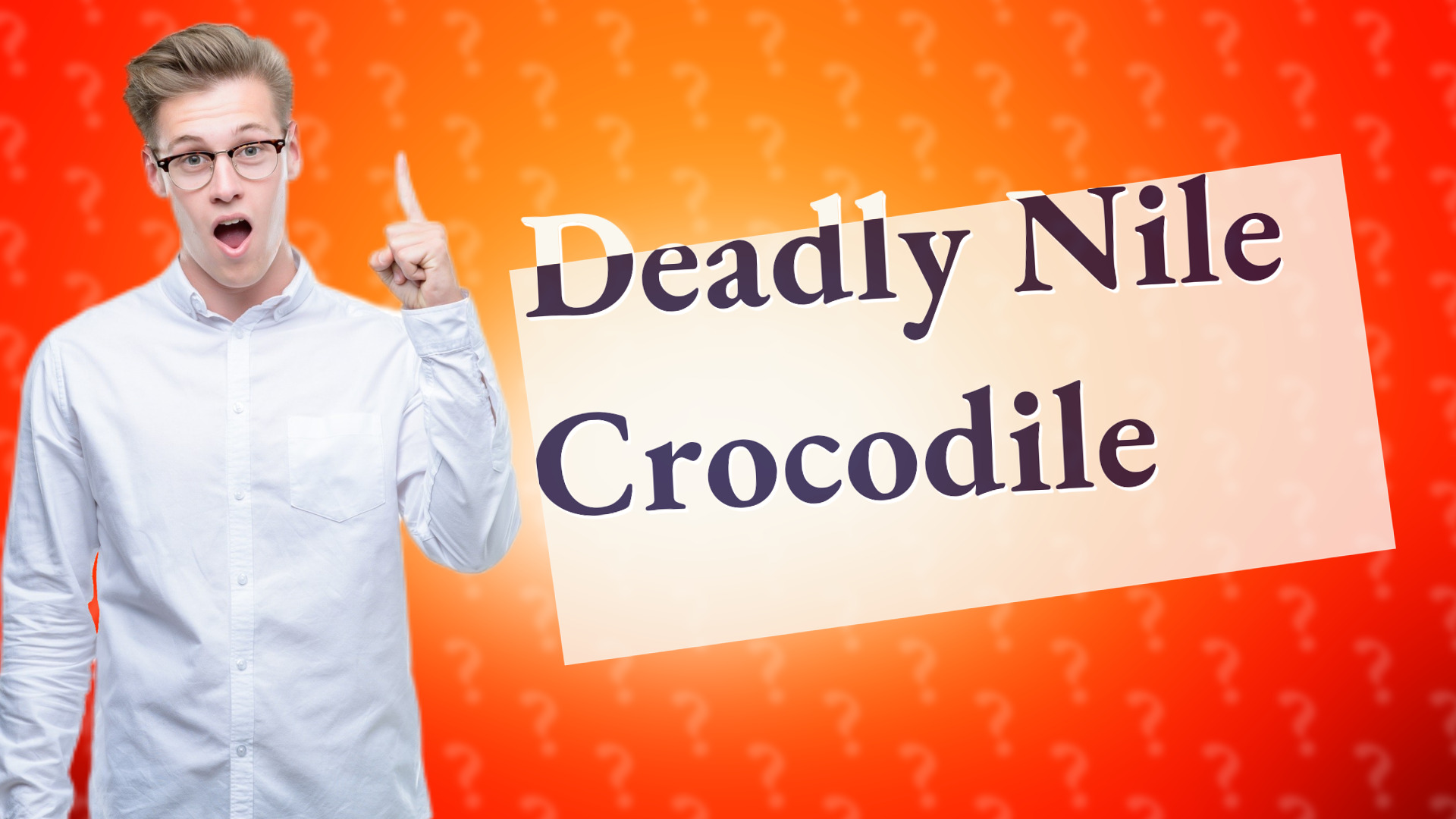 Deadly Nile Crocodile