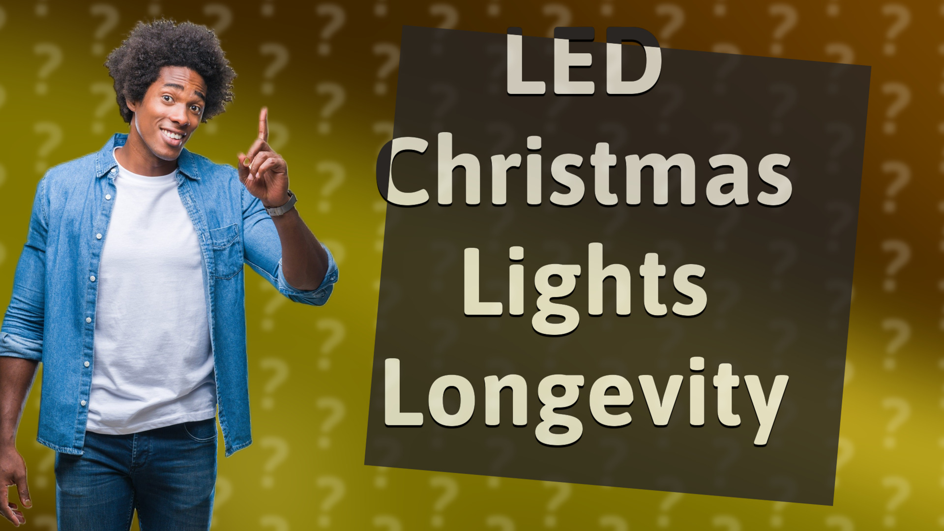 LED Christmas Lights Longevity