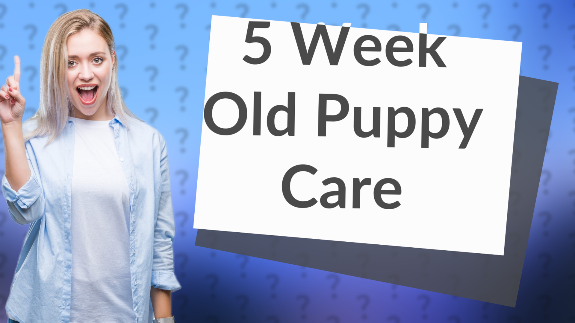 5 Week Old Puppy Care