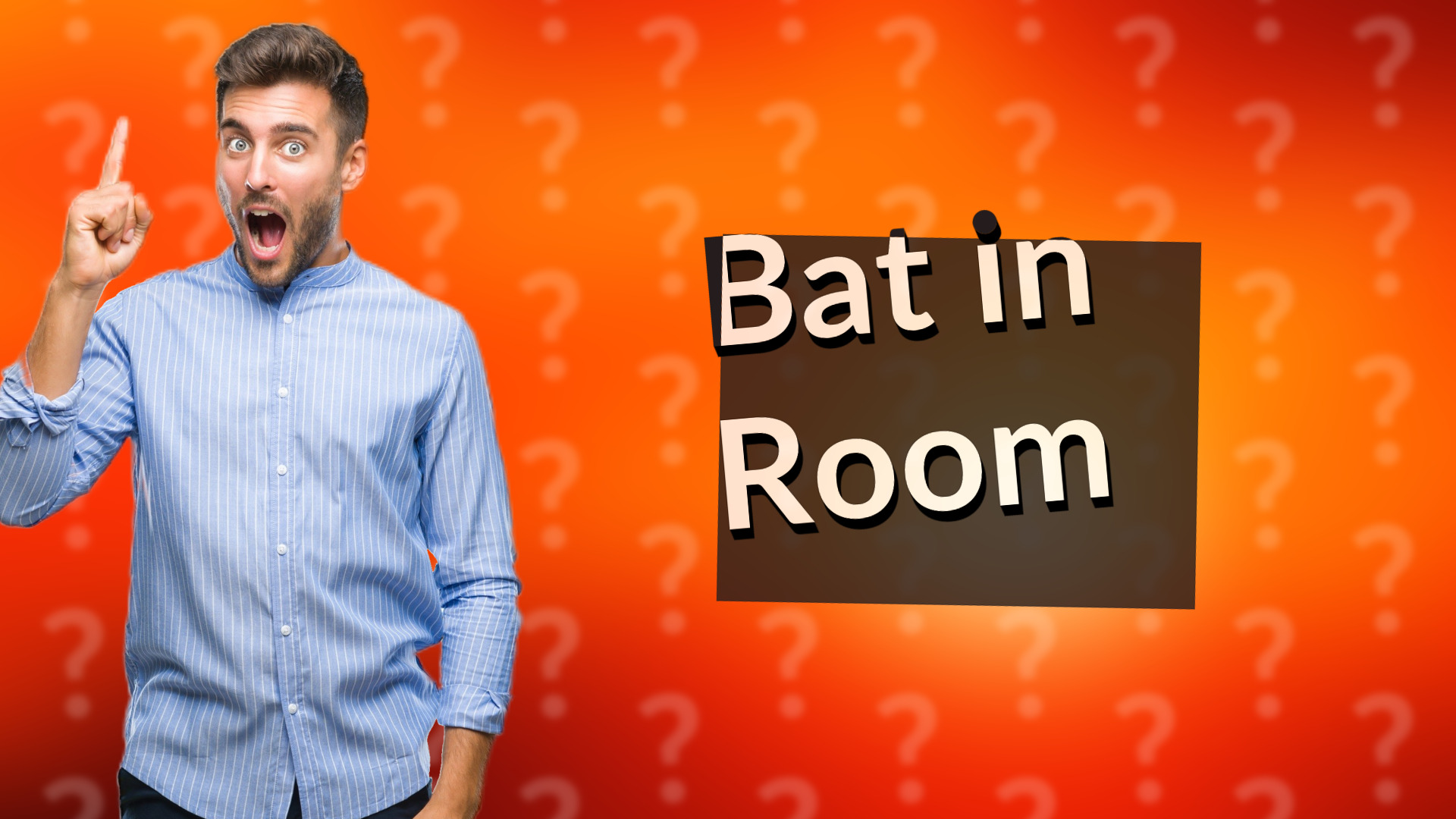Bat in Room