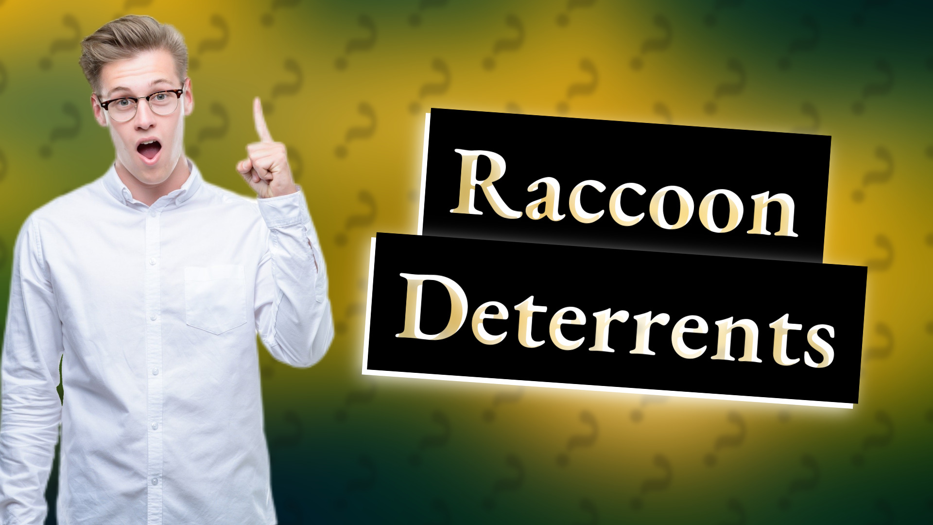 Raccoon Deterrents