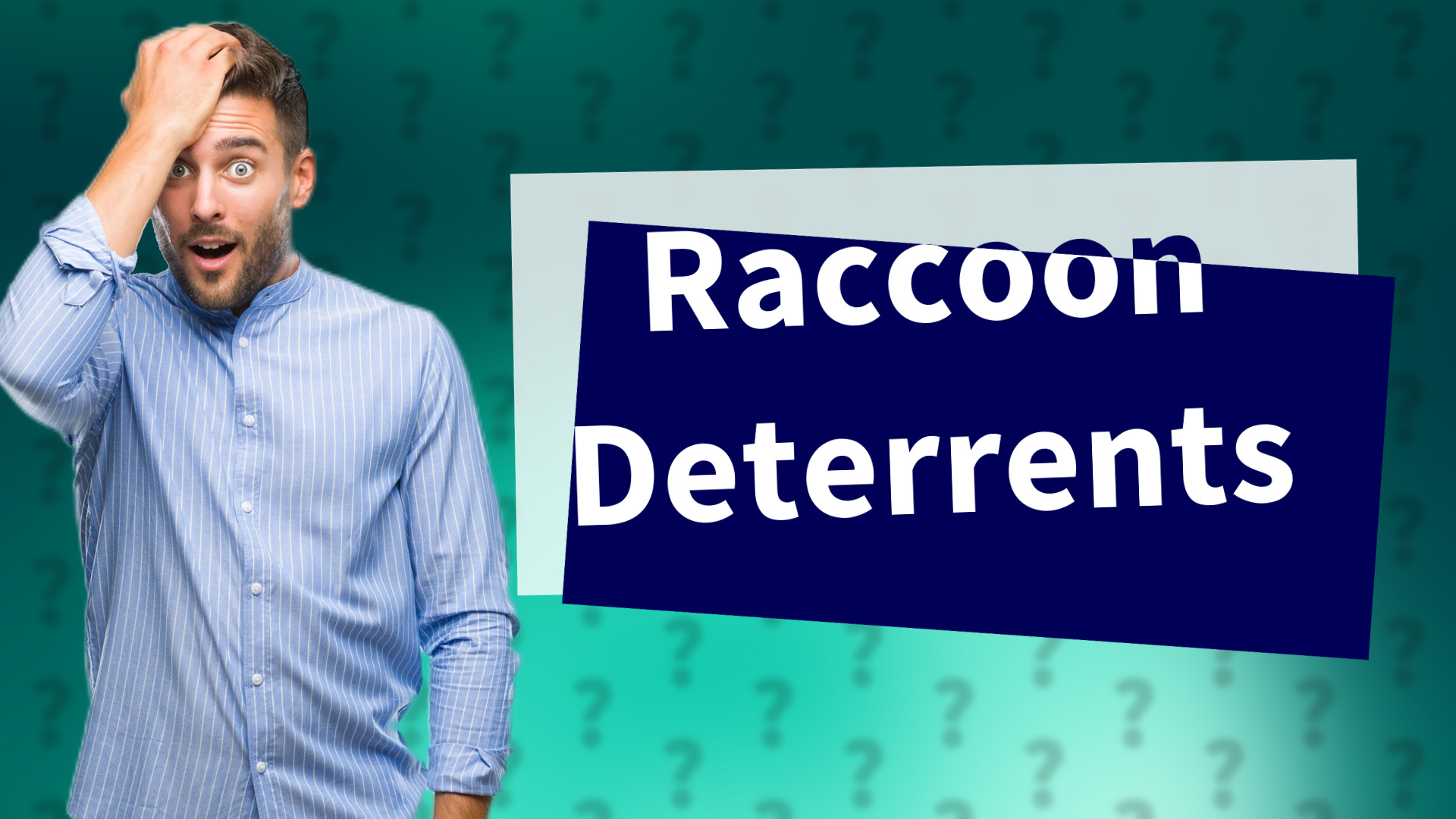 Raccoon Deterrents