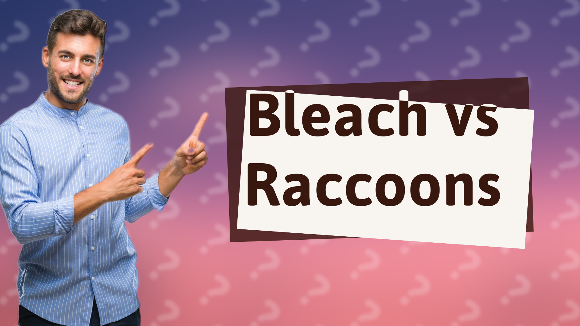 Bleach vs Raccoons