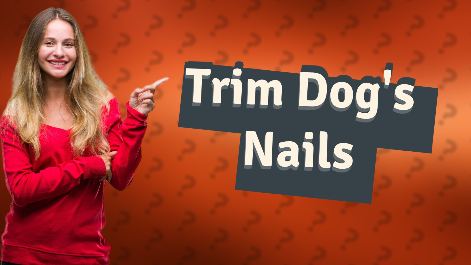 Trim Dog's Nails