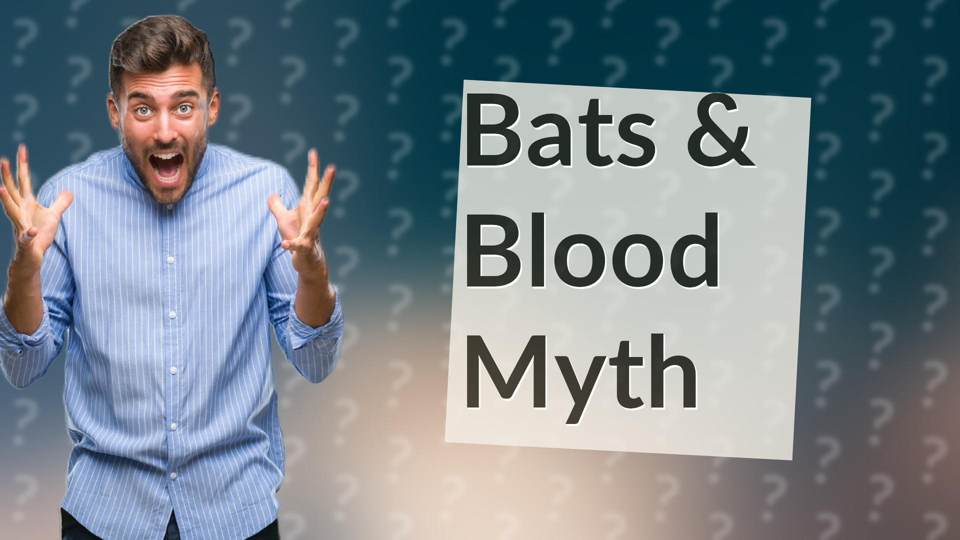 Bats & Blood Myth