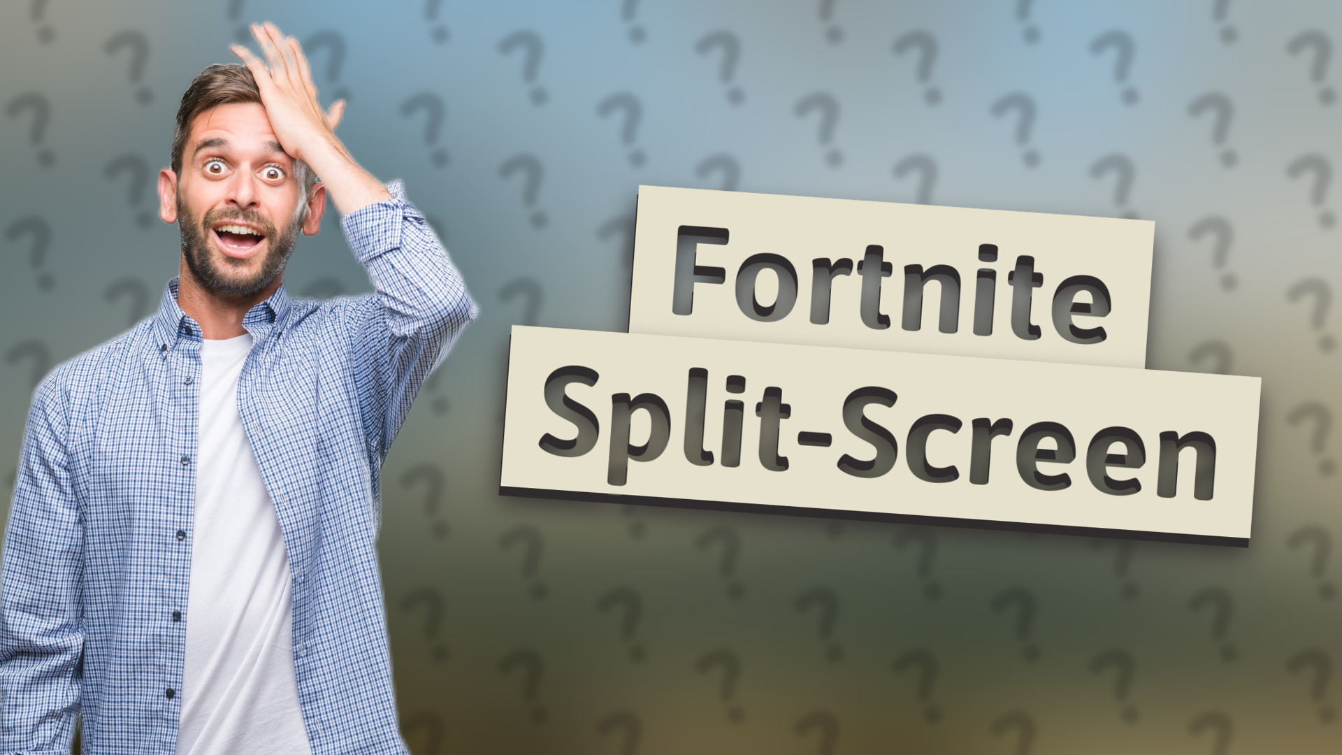 Fortnite Split-Screen