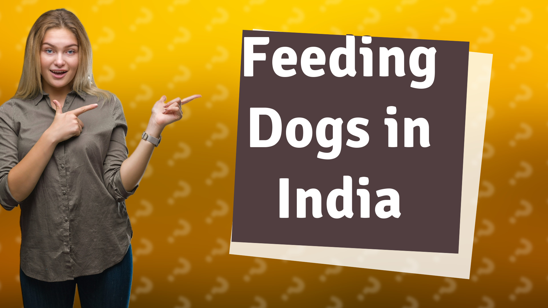Feeding Dogs in India