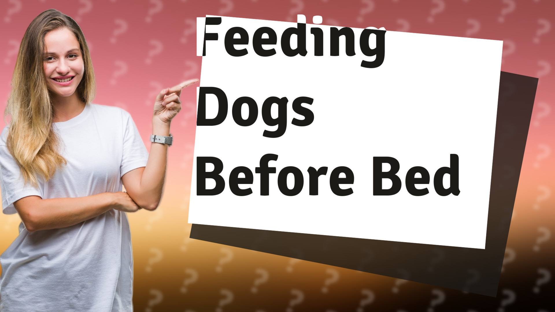 Feeding Dogs Before Bed