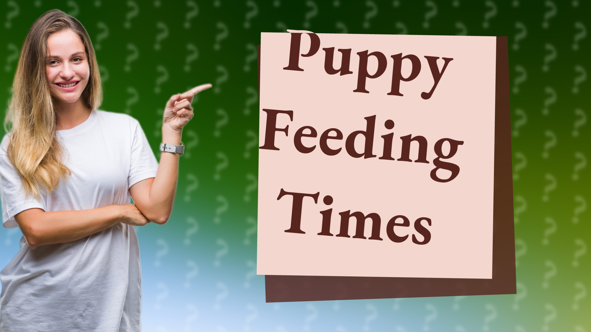 Puppy Feeding Times