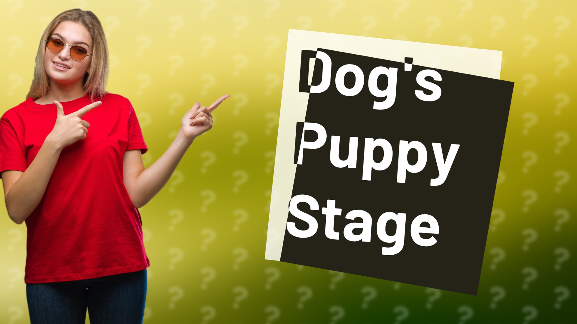 Dog's Puppy Stage