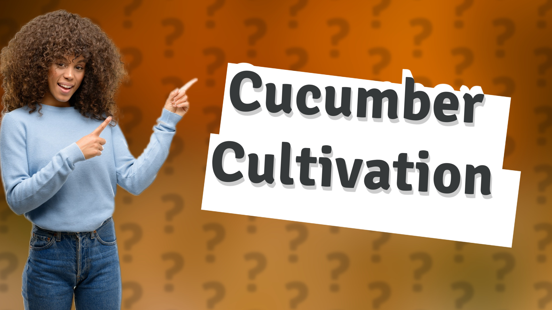 Cucumber Cultivation