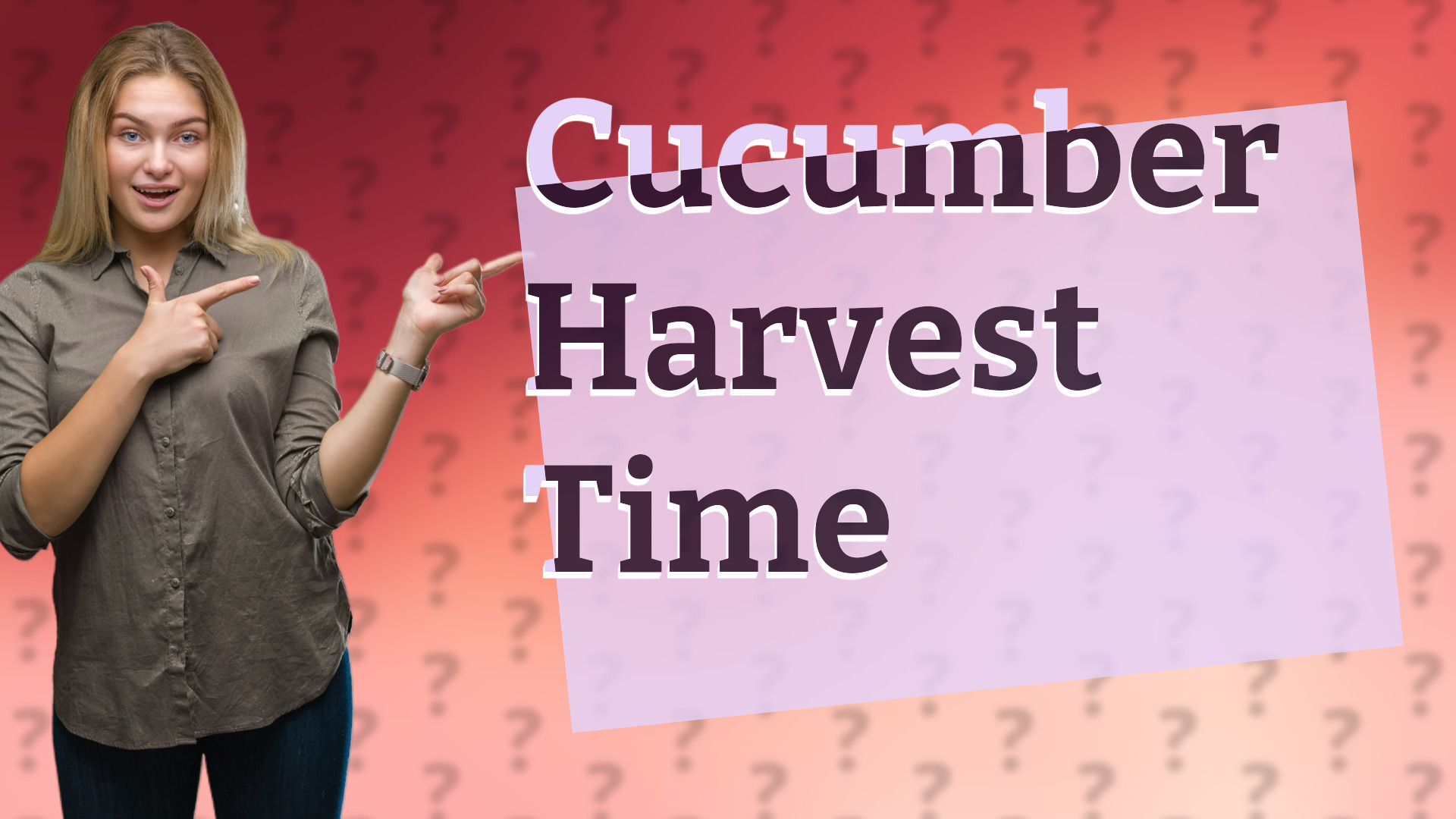 Cucumber Harvest Time
