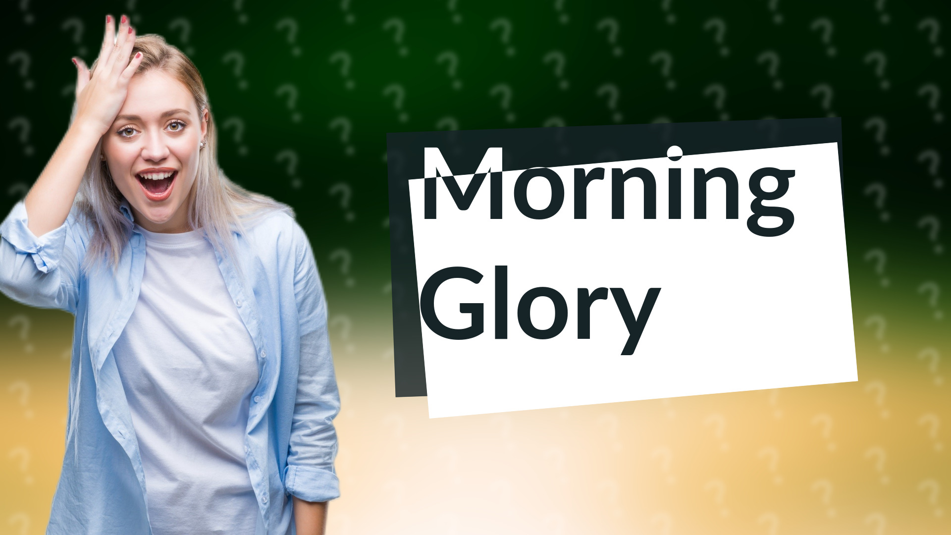 Morning Glory