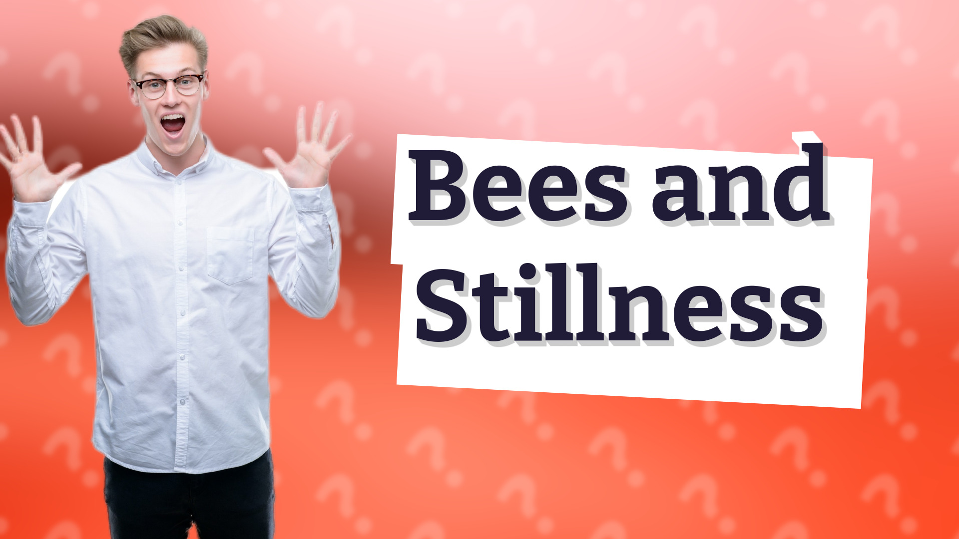 Bees and Stillness