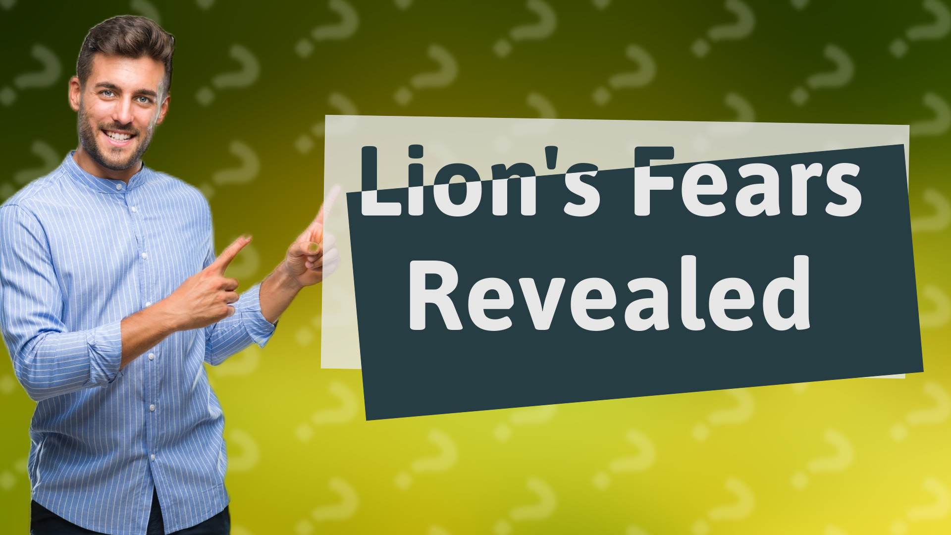 Lion's Fears Revealed