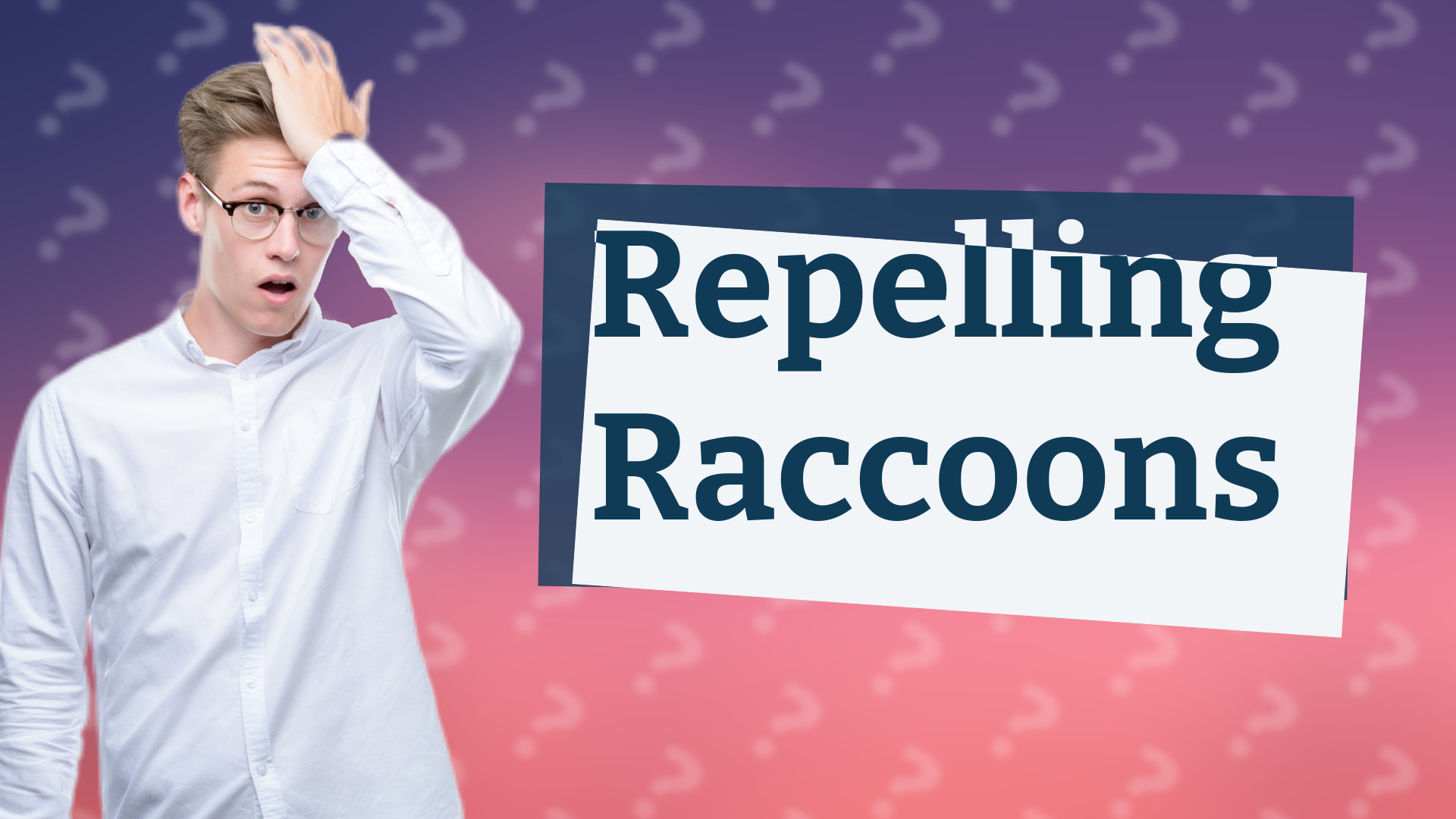 Repelling Raccoons