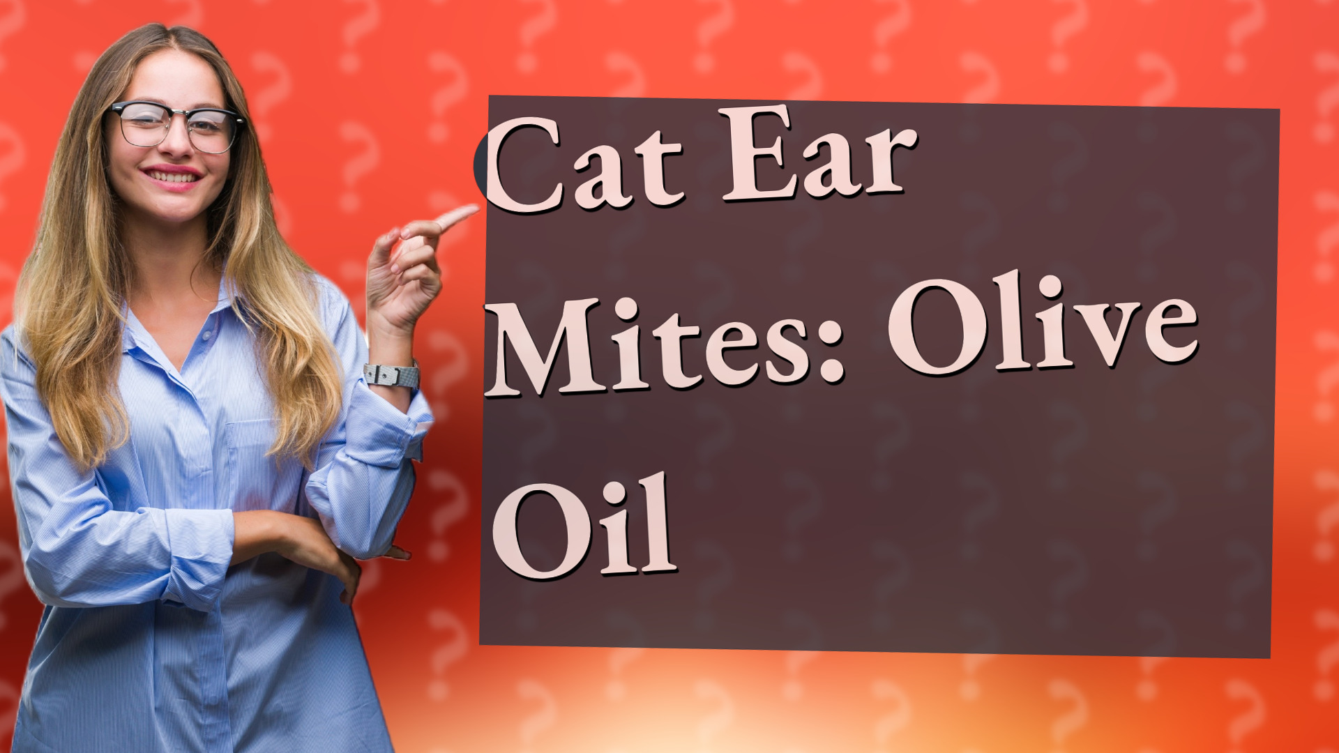 Cat Ear Mites: Olive Oil