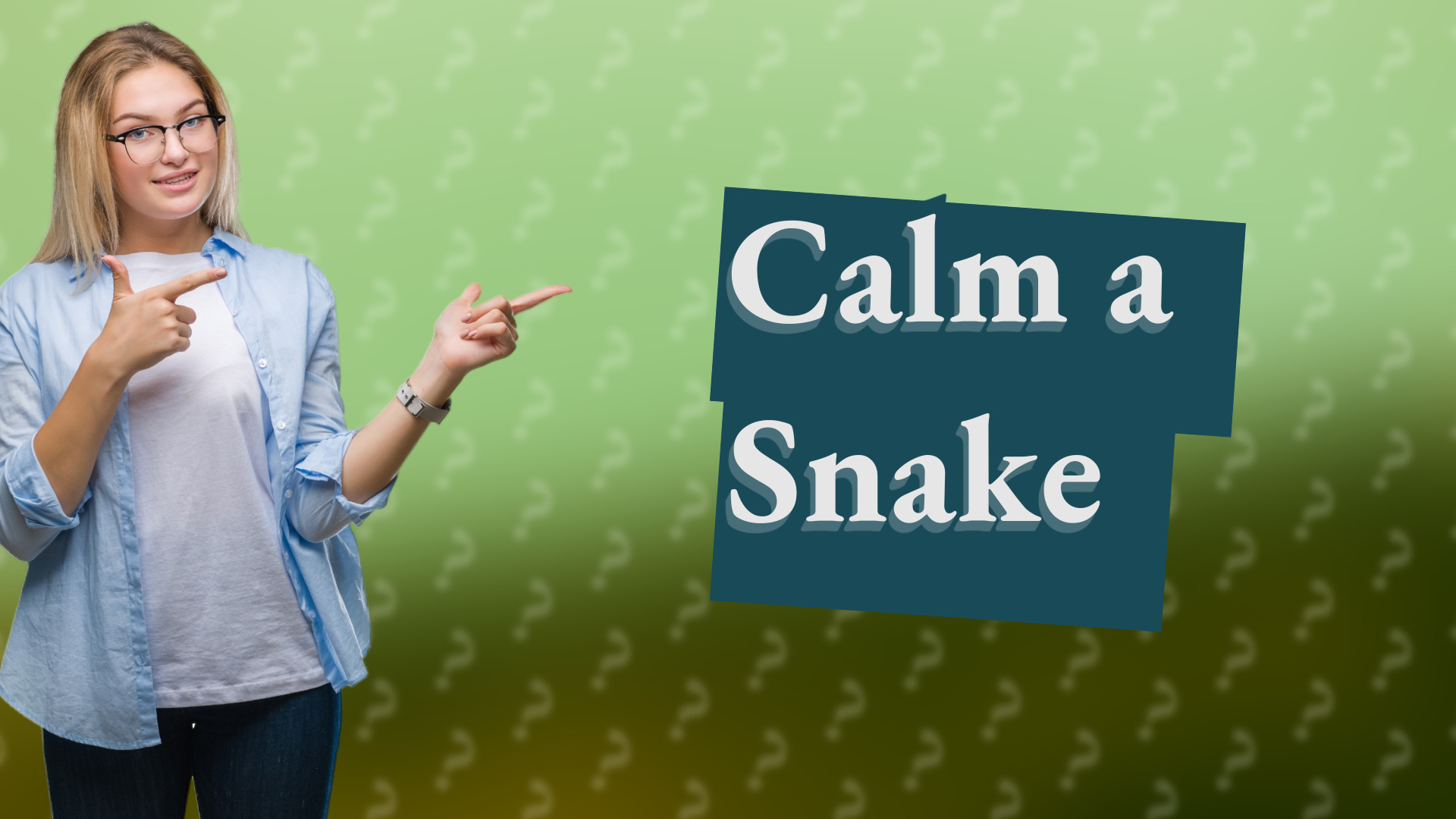 Calm a Snake