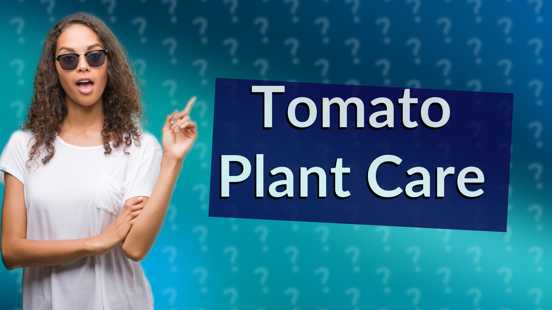 Tomato Plant Care