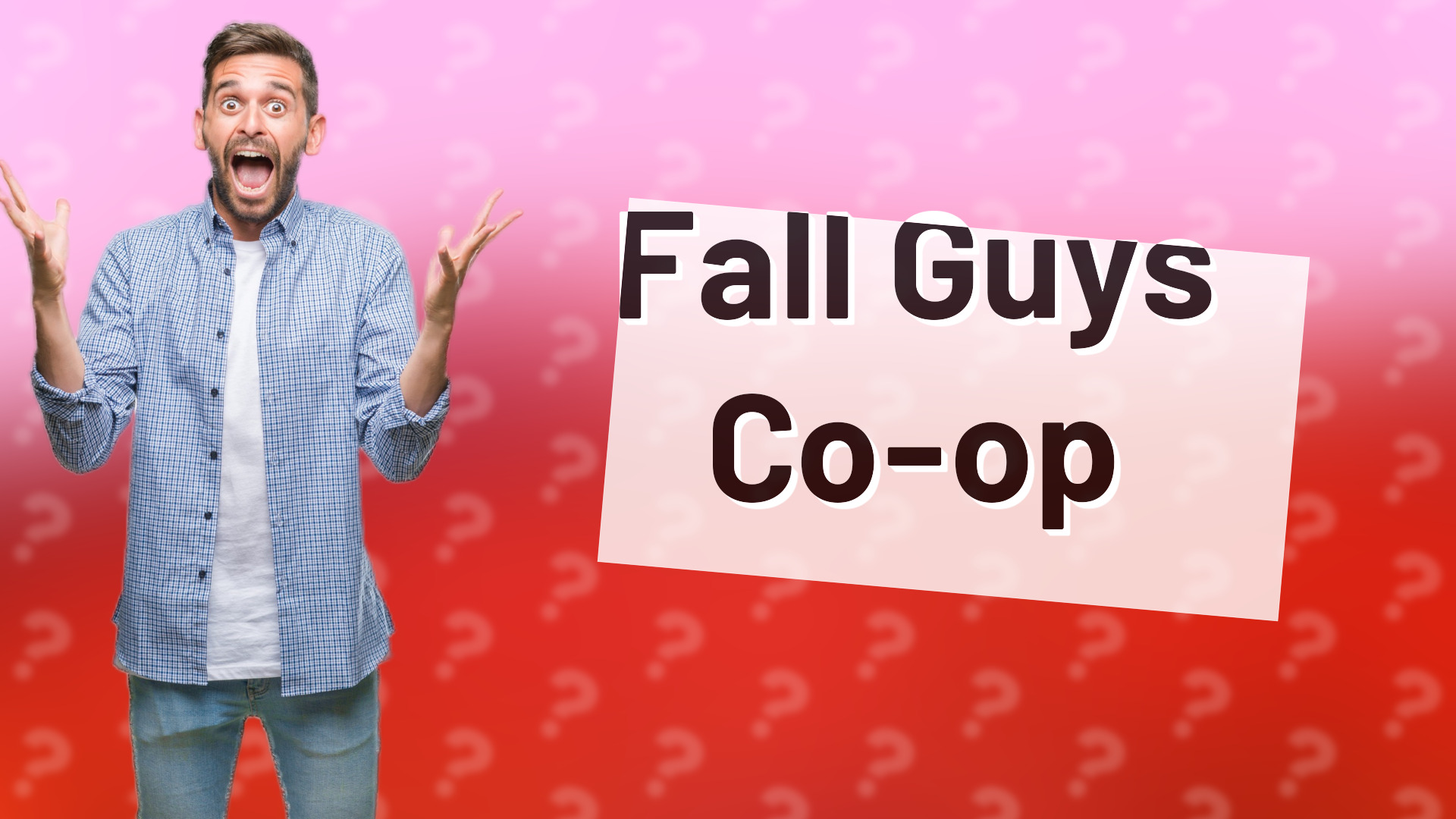 Fall Guys Co-op