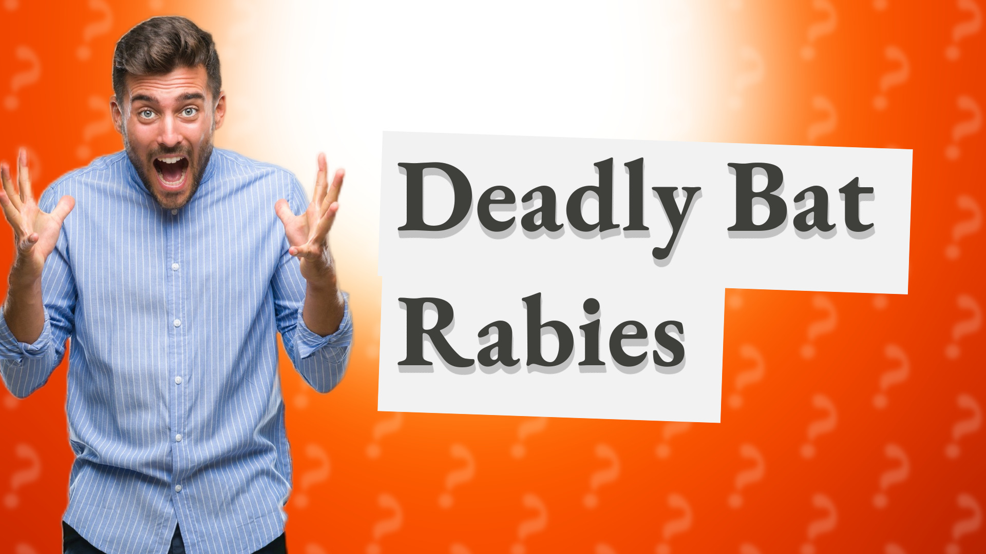 Deadly Bat Rabies