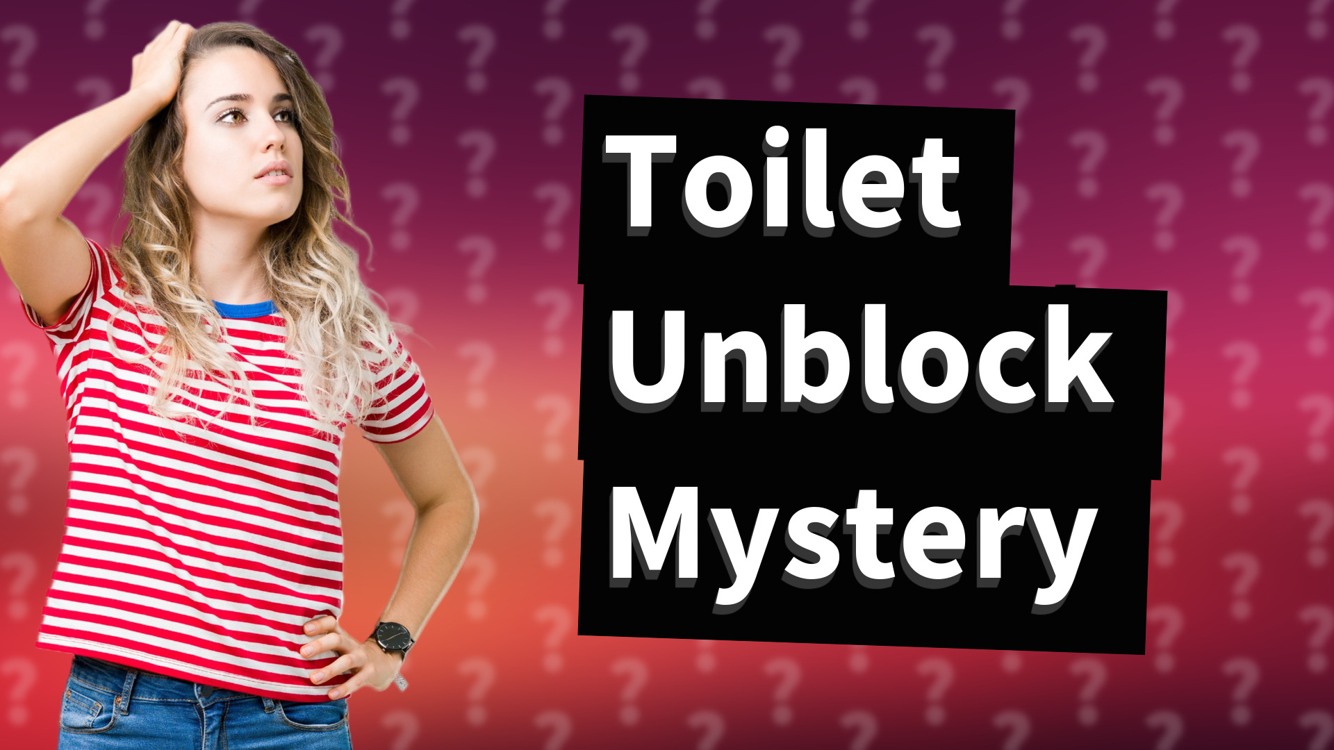 Toilet Unblock Mystery