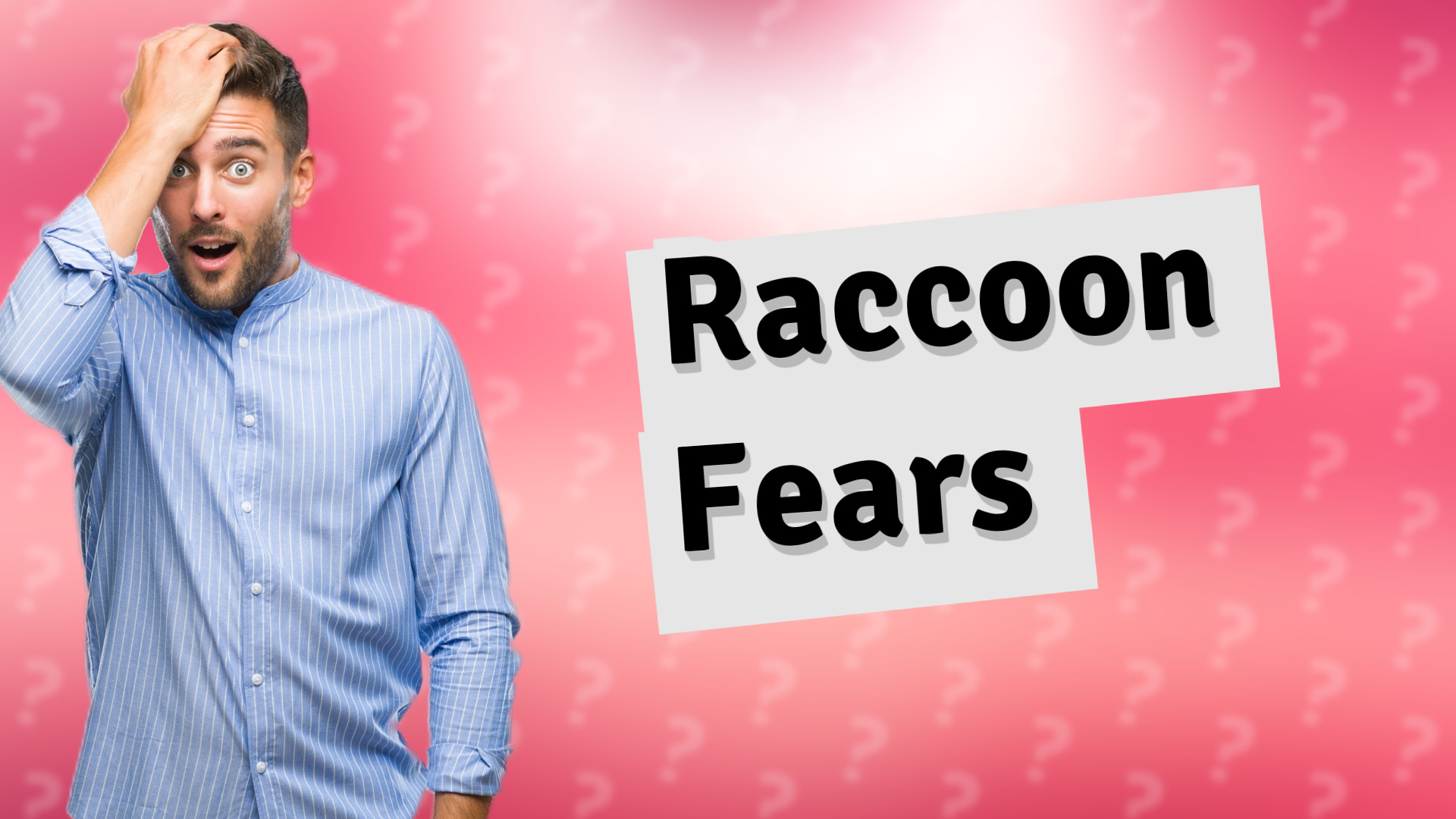 Raccoon Fears