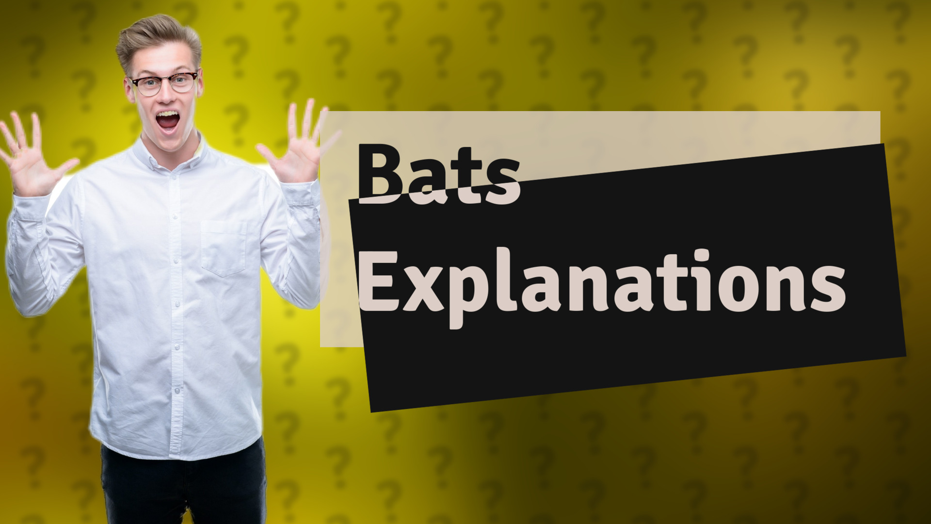 Bats Explanations