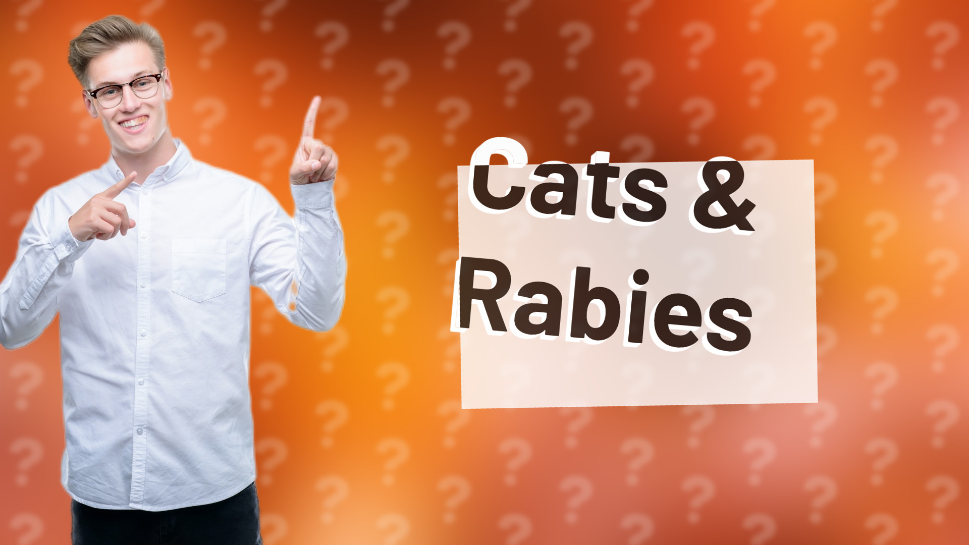 Cats & Rabies