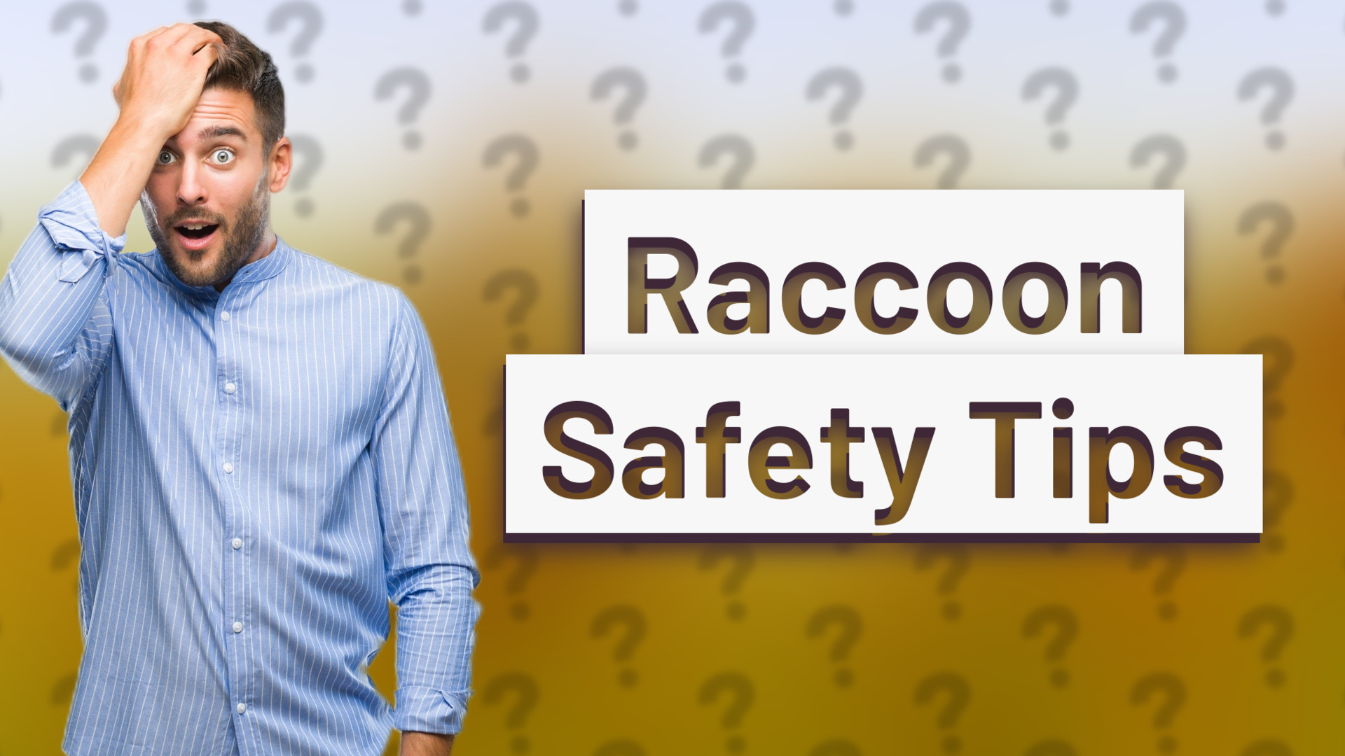Raccoon Safety Tips