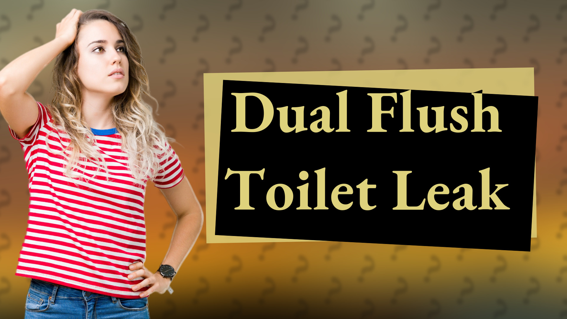 Dual Flush Toilet Leak