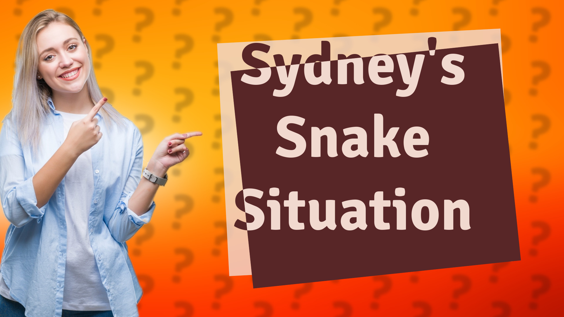 Sydney's Snake Situation
