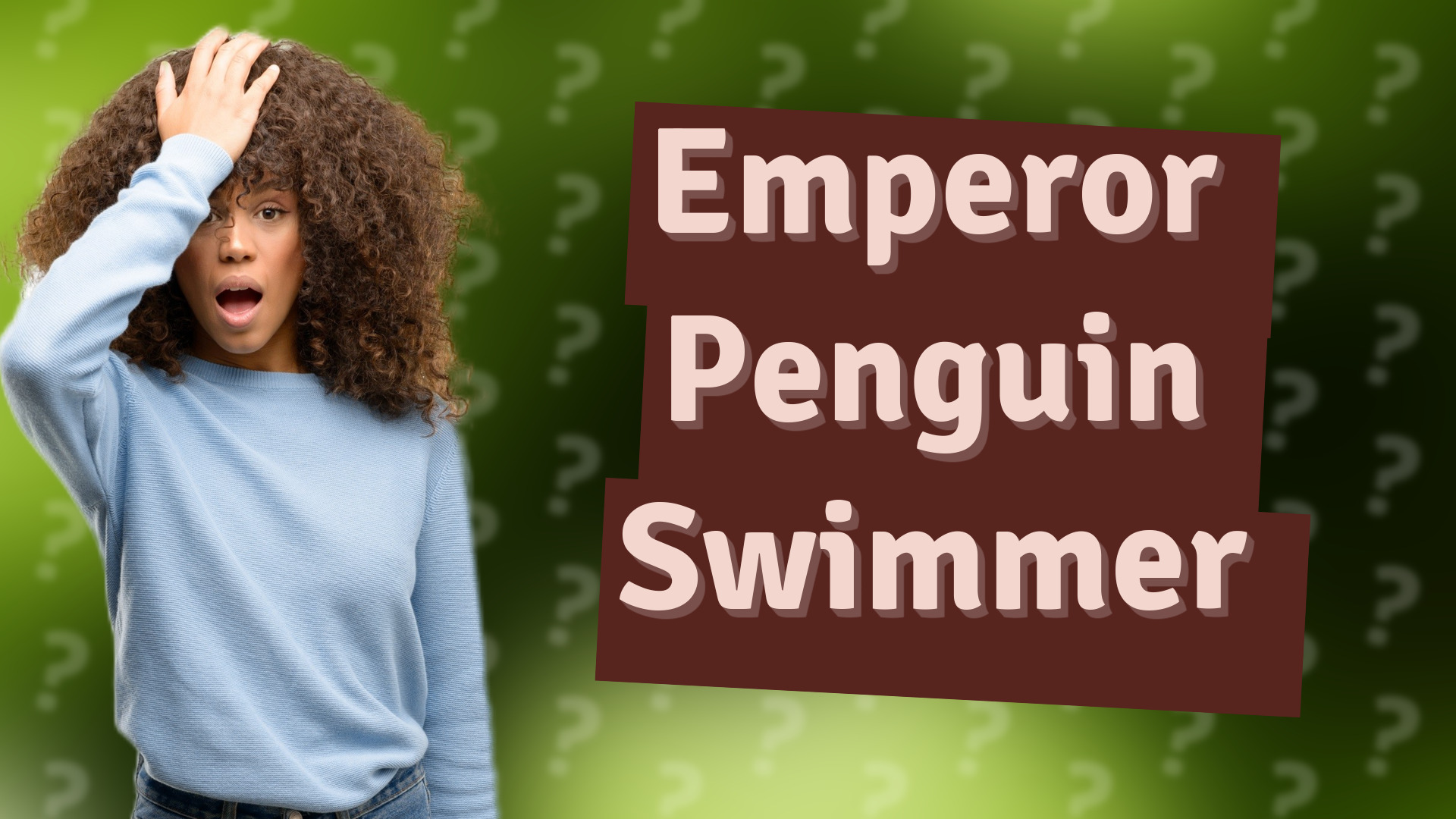 Emperor Penguin Swimmer