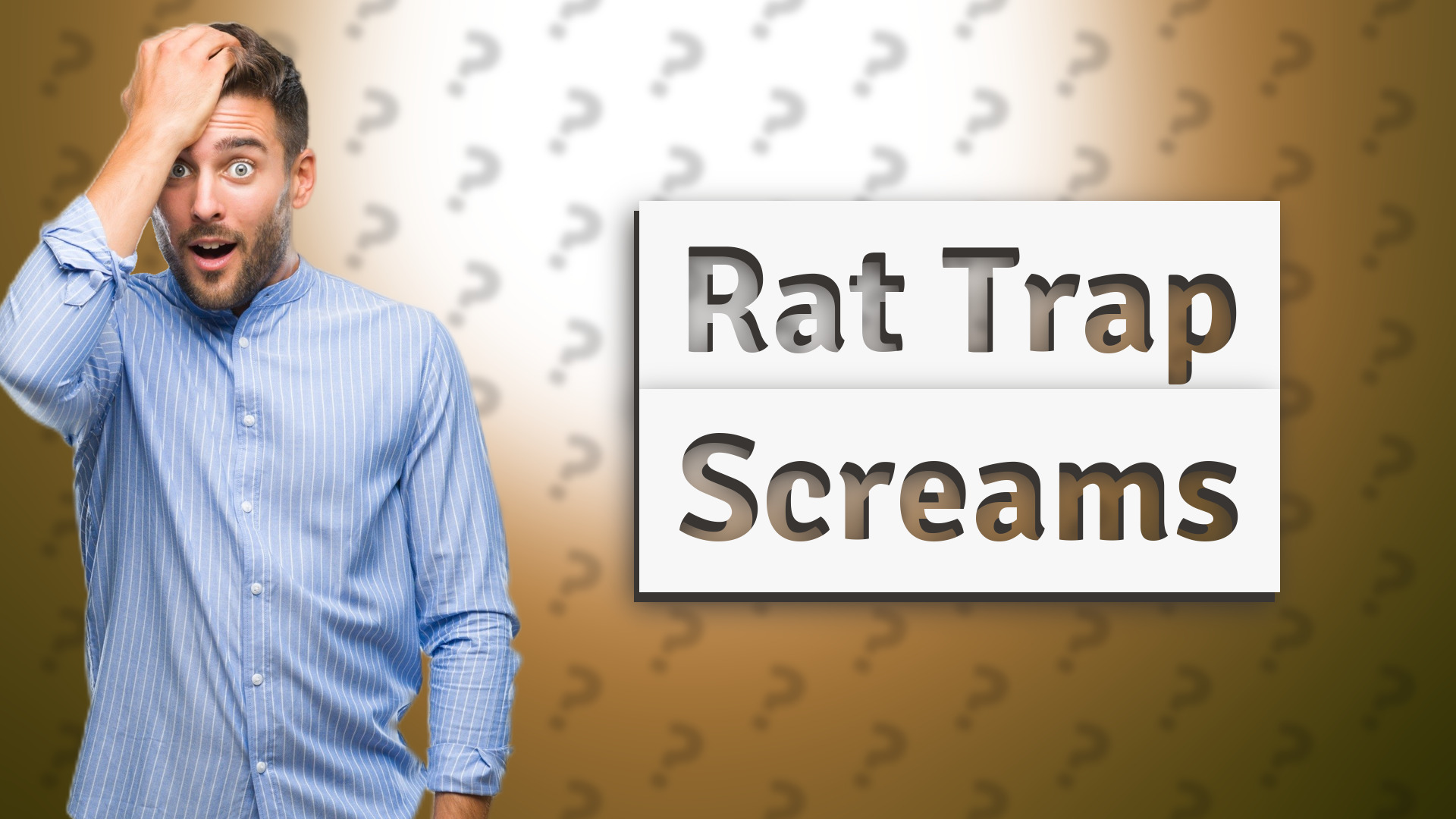 Rat Trap Screams