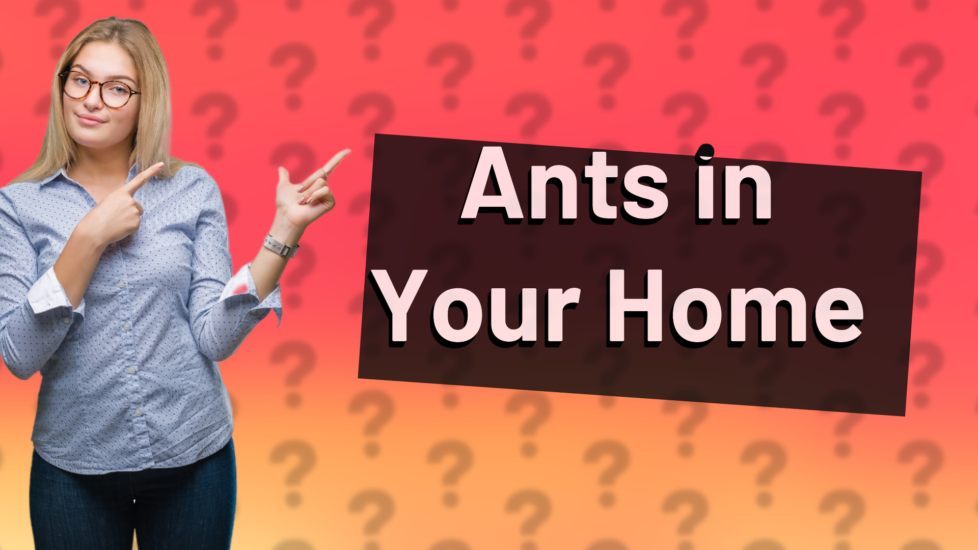 Ants in Your Home