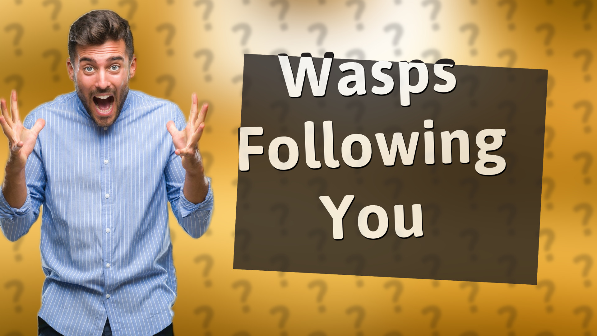 Wasps Following You