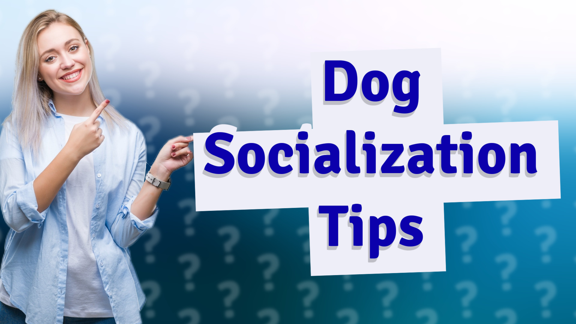 Dog Socialization Tips